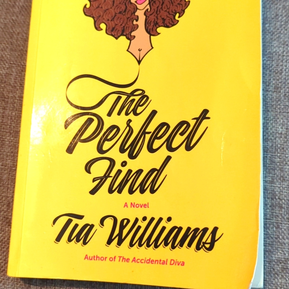 The Perfect Find: A Novel